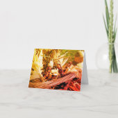 インディアンコーン自然空白のノートカード カード (正面)