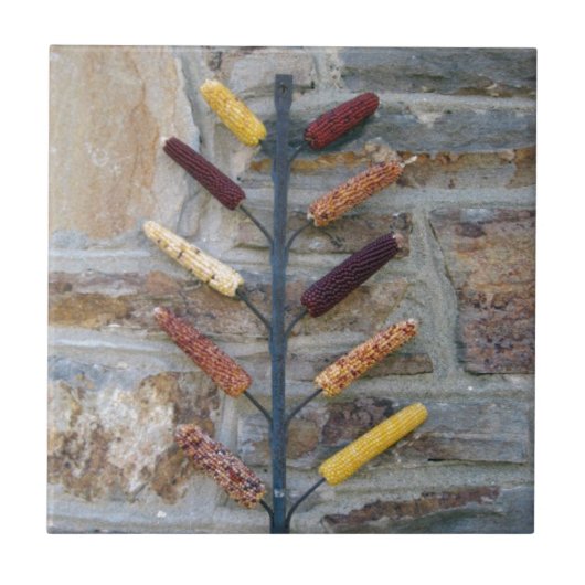 インディアンコーン タイル (正面)