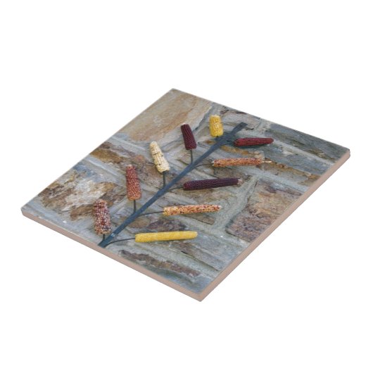 インディアンコーン タイル (側面)