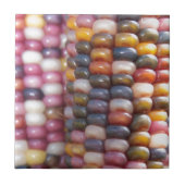 インディアンコーン タイル (正面)