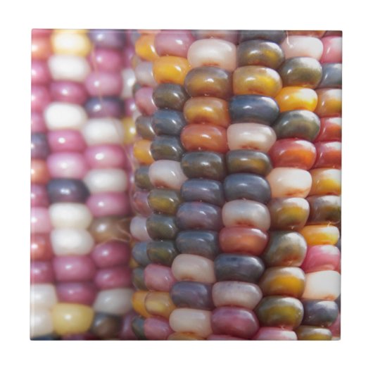 インディアンコーン タイル (正面)