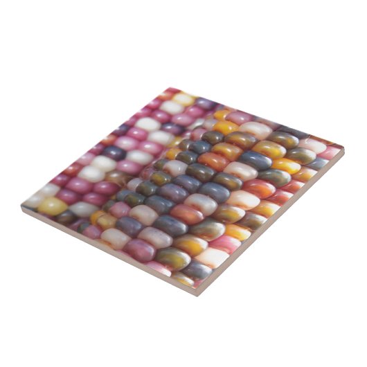 インディアンコーン タイル (側面)