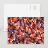 インディアンコーン ポストカード (正面/裏面)