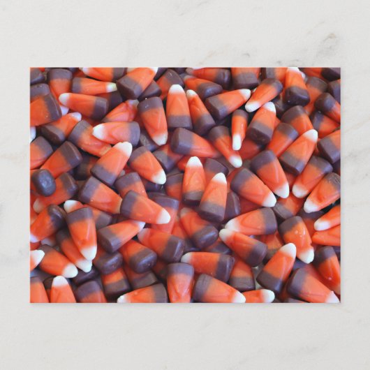 インディアンコーン ポストカード (正面)