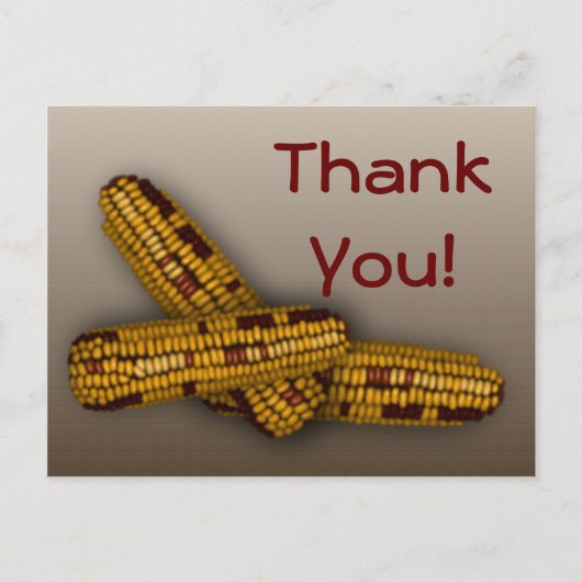 インディアンコーン ポストカード (正面)