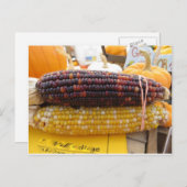 インディアンコーン ポストカード (正面/裏面)