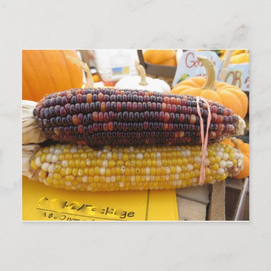 インディアンコーン ポストカード (正面)
