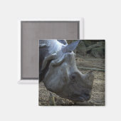 インディアンサイ マグネット (正面/裏面)