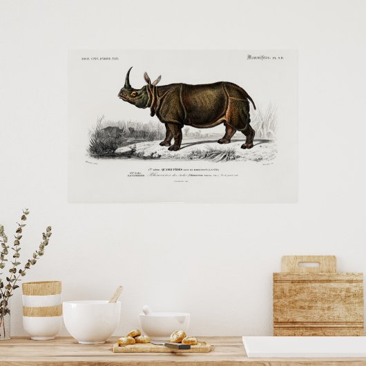 インディアンサイbyチャールズ・デッサリーヌ・ドルビニー ポスター (キッチン)