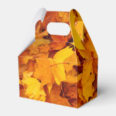 インディアンサマーゴールデン葉ズ フェイバーボックス (裏面サイド)