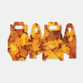 インディアンサマーゴールデン葉ズ フェイバーボックス (折り畳みなし)