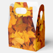 インディアンサマーゴールデン葉ズ フェイバーボックス (オープン)