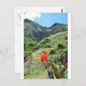 インディアンショット（カンナインディカプルプレア） ポストカード (正面/裏面)