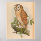 インディアンスクリーチフクロウ茶色ヴィンテージバードアートプリント ポスター (正面)