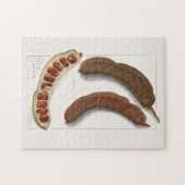 インディアンタマリンド(タマルインダスインディカ絵画) ジグソーパズル (横)