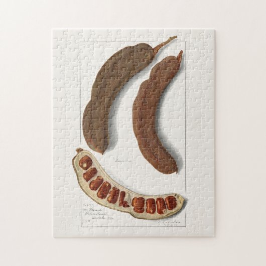 インディアンタマリンド(タマルインダスインディカ絵画) ジグソーパズル (縦)