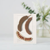 インディアンタマリンド(タマルインダスインディカ絵画) ポストカード (スタンド正面)