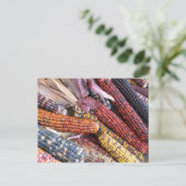 インディアントウモロコシ ポストカード (スタンド正面)