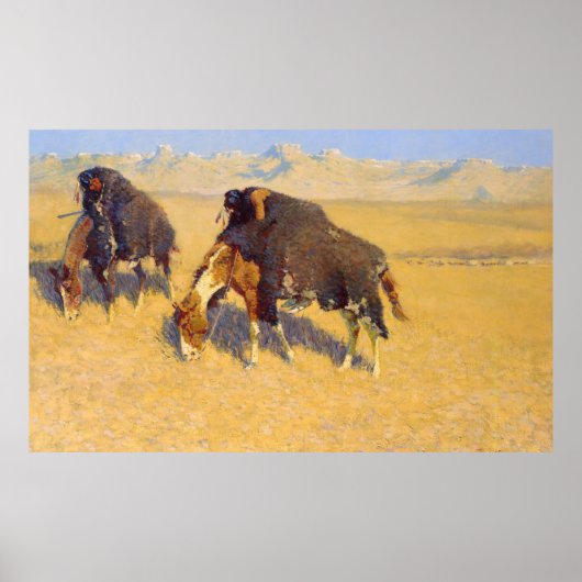 インディアンバッファローのシミュレーション ポスター (正面)