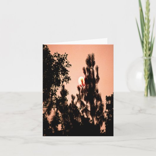 インディアンバレー火災….. カード (正面)