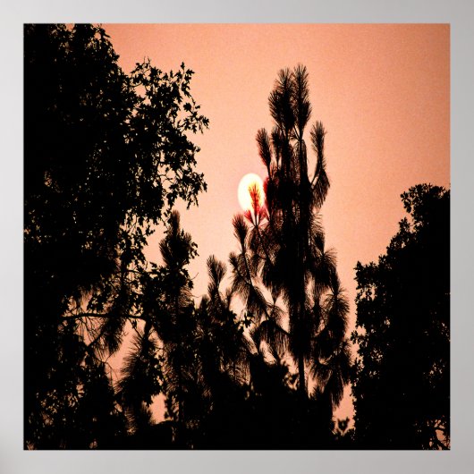 インディアンバレー火災…..... ポスター (正面)