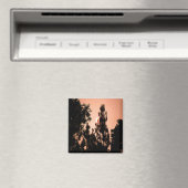 インディアンバレー火災…..... マグネット (インサイチュ (食洗機))