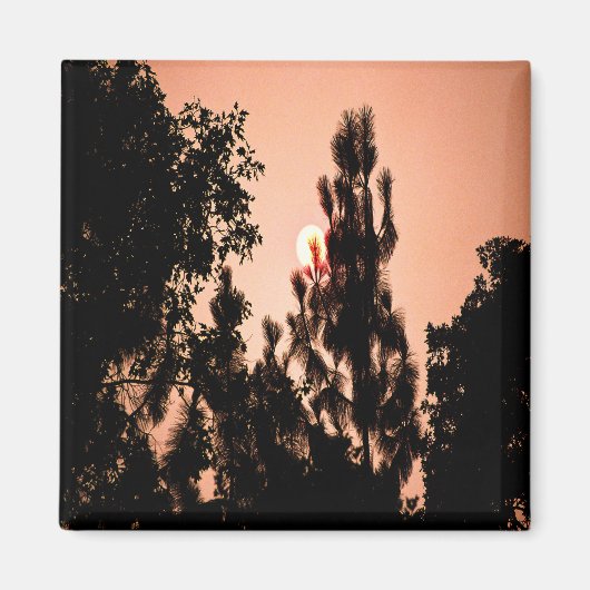 インディアンバレー火災…..... マグネット (正面)