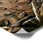 インディアンパイプポスター ポスター (角)