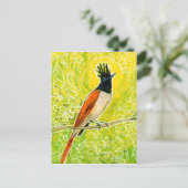 インディアンパラダイスフライキャッチャートロピカルバードスケッチ ポストカード (スタンド正面)
