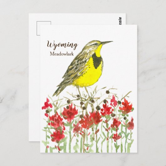 インディアンパントブラシメドウラルク州ワイオミングの鳥 ポストカード (正面/裏面)