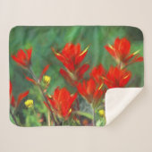 インディアンパントブ絵画ラシのオリジナル – フラワーアート シェルパブランケット (正面(横))