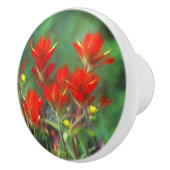 インディアンパントブ絵画ラシのオリジナル – フラワーアート セラミックノブ (右)