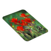 インディアンパントブ絵画ラシのオリジナル – フラワーアート マグネット (右側)