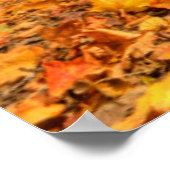 インディアンビレッジキャニオン秋，コロンバス，オハイオ ポスター (角)