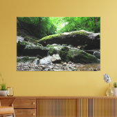 インディアンビレッジキャニオン,コロンバス,オハイオ キャンバスプリント (インサイチュ (リビング))