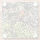 インディアンブラシ ガラスコースター (裏面)