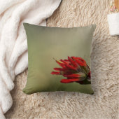 インディアンブラシ クッション (ブランケット)