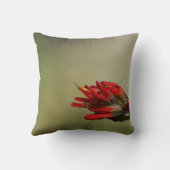 インディアンブラシ クッション (裏面)