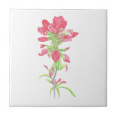 インディアンブラシ タイル (正面)