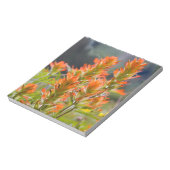 インディアンブラシ ノートパッド (回転)