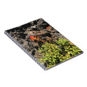 インディアンブラシ ノートブック (右側)