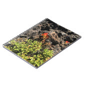 インディアンブラシ ノートブック (左側)