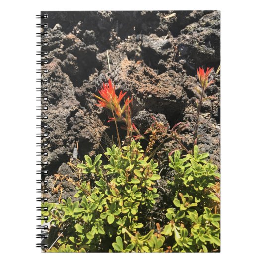 インディアンブラシ ノートブック (正面)