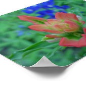 インディアンブラシ ポスター (角)