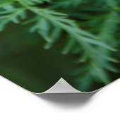 インディアンブラシ ポスター (角)