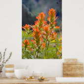 インディアンブラシ ポスター (キッチン)