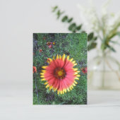 インディアンブラシ ポストカード (スタンド正面)