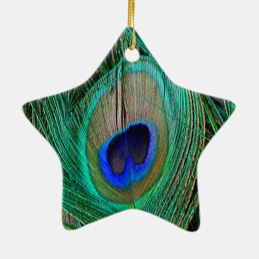 インディアンブルーピーコックフェザースターオーナメント セラミックオーナメント (裏面)