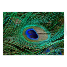 インディアンブルーピーコックフェザー