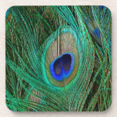 インディアンブルーピーコックフェザー コースター (正面)